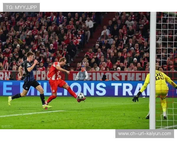 拜仁球迷庆祝球队创下德甲不败纪录